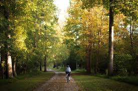 Tree plantation quotes in hindi. A Perfect Fall Bike Ride On The Neuse River Greenway Trail In Raleigh N C
