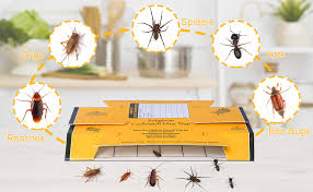 Getting rid of a severe roach our knowledgeable team of pest control experts can tackle any pest problem, and our home shield pest prevention program will ensure that you never. Amazon Com 48 Pack Roach Traps Cockroach Killer Indoor Home Glue Traps For Roaches Bugs Spiders Crickets Beetles Garden Outdoor