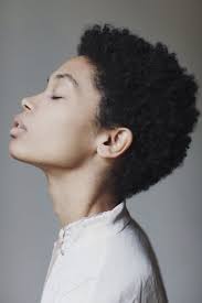 Lashawn Sabio Natural Hair Styles Short Natural Hair Styles Twa Hairstyles