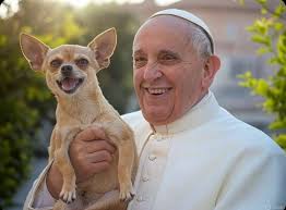 Animales Perdidos en Nicaragua 🇳🇮