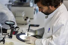 The time after graduating from college can be a stressful time as you try to find your first job. Jobs Careers Freie Universitat Berlin