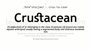 American & british english pronunciation of male & female. Pronunciation Of Crustacean Definition Of Crustacean Youtube