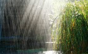 Hd wallpapers and background images. Relaxing Rain Wallpapers Top Free Relaxing Rain Backgrounds Wallpaperaccess