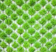 10 Grass Pavers for Driveway – All You Need to Know