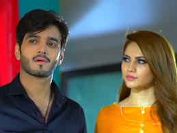 Image result for dilnawaz