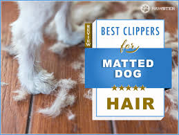 Persian cat hair is long and fine, making it prone to mats and damage, but choosing the right trimmer will help you keep that beautiful coat under control. 5 Best Heavy Duty Clippers For Matted Dog Hair In 2021