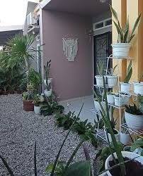 Tanaman hias adalah tanaman yang ditanam dalam kepentingan estetika untuk menghias rumah, taman, ruangan, riasan ataupun upacara. Tren Tanaman Hias