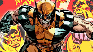 Image result for wolverine