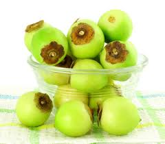 Image result for Cordia monoica