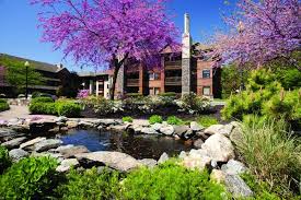 Find the right memory care facility in greenwich, ct for a loved one with alzheimer's or dementia. 298 Home Care Agencies Near Greenwich Ct A Place For Mom