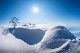 独树一帜 世界很美 宅在家里看风景 sakura自然风光摄影交流部落 六合视界 natural landmarks landmarks nature