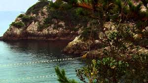 Soul trailer #2 22,566 views. The Cove Official Trailer Hd Youtube