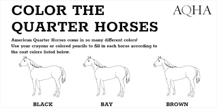 Cut out one of each type of shape (head, neck, body, and front and back legs), remembering where the letters were. Color The Quarter Horses Free Downloadable Coloring Pages Aqha