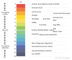 Chemical Changes Associated With Slaughter Meat Cutting