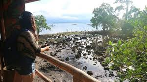 Objek pemandangan yang indah dapat meliputi pegunungan, sungai, danau, air terjun, taman bunga, pantai, laut dan berbagai objek menarik lainnya. Pemandangan Di Tepi Laut Yang Mengagumkan Dan Perlu Anda Pergi Tempat Menarik