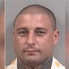 Lou Cecere's Instagram, Twitter & Facebook