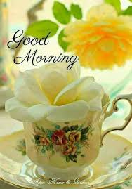 Good morning can be sweet with birds voice and worst by listening to alarm voice. 92 Good Morning Flowers Ideas Good Morning Flowers Flowers Morning Flowers
