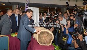 Bill of lading records in 2012 and 2014. Amalkan Tanam Semula Pokok Yang Ditebang Utusan Borneo Online