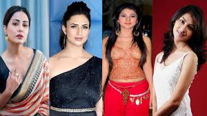 Telugu serial actress cost per night; Jennifer Winget Hina Khan Divyanka Tripathi And Sriti Jha The Most Highest Paid Tv Actress Iwmbuzz