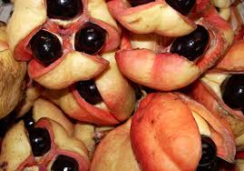 Sourced from the amazon jungle these trees offer fruit growing enthusiasts the chance to grow something that is unique and keen growers can try their hand at selecting unique genotypes. 10 Exotic Fruits You Didn T Know Can Kill You Toptenz Net