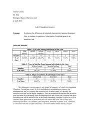 Drosophila Lab Report Equilibrium Biz