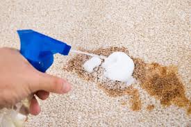 Check spelling or type a new query. 7 Best Carpet Stain Removers 2021 Reviews Oh So Spotless