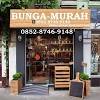 Toko bunga magnolia florist surabaya menghadirkan produk karangan bunga segar dengan dukungan tim florist terbaik. Https Encrypted Tbn0 Gstatic Com Images Q Tbn And9gcqj 0 S7v6bwpbf Ppub7hw1js1ssweng0tb3xc4syeey5ta52 Usqp Cau