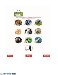 Sound Of Animals Worksheet