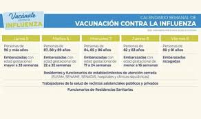 © proporcionado por redgol esta semana termina la vacunación a docentes. En Vina Del Mar Se Inicia Campana De Vacunacion Anti Influenza Con 18 Puntos De Inoculacion Municipalidad De Vina Del Mar
