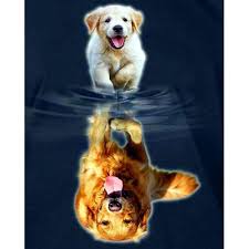We did not find results for: Adults Wooden Jigsaw Puzzle 1000 Pieces Golden Retriever Dog Children Leisure Creative Puzzle Games Art Toys Puzzles Buy Online In Belize At Belize Desertcart Com Productid 191083896