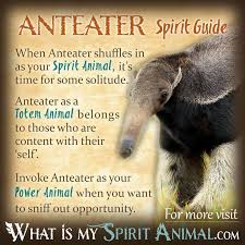 Anteater Symbolism Meaning Spirit Totem Power Animal Power Animal Animal Totem Spirit Guides Mammals