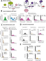 Through the programming instrument the input can be forced opened or forced there are modular ones which can be added on with inputs and outputs. An Analog To Digital Converter Controls Bistable Transfer Competence Development Of A Widespread Bacterial Integrative And Conjugative Element Elife
