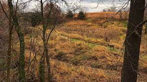 Maybe you would like to learn more about one of these? 5 Keys To Locating Mature Bucks During The Rut