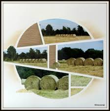 Devant Chez Moi Les Foins En 2014 Le Scrap Europeen De Mimouscrap Azza Scrapbooking Azza Scrapbooking Europeen