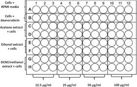 Image result for Triumfetta welwitschii