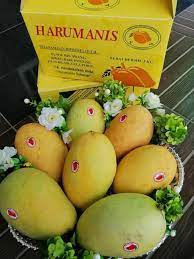 Tempahan online mangga harumanis / harum manis original gred a eksklusif dari negeri perlis. Updates From Harum Manis Perlis Facebook