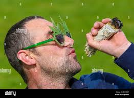 From cumbernauld hi-res stock photography and images