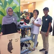 To ensure the best adoption experience, the humane society of charlotte has instituted adoption by. Save A Stray Malaysia Home Facebook