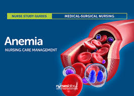 Anemia Nursing Care Management A Study Guide