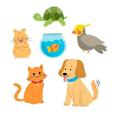 Różne zwierzęta - puzzle online