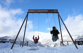 Hakuba Iwatake Mountain Resort - Local ...