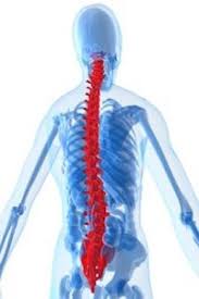 How Much Is My Spine Injury Claim Worth In California Los