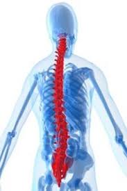 how much is my spine injury claim worth in california los