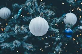 4.8 out of 5 stars. Make Christmas Magical At Santa S Enchanted Forest