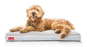 We rounded up the top 10 dog beds for great danes to help you narrow your search. 3 Best Dog Beds For Great Danes 2021 Comfort For Giant Breeds