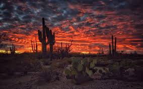 We'll customize the hike to your mileage, terrain and grade preferences. Arizona Desert Sunset Wallpapers Top Free Arizona Desert Sunset Backgrounds Wallpaperaccess