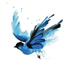 Blue Bird With Orange Wings Pin On Tattoo One Day