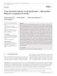 We did not find results for: Pdf From Structural Resilience To Cell Specification Intermediate Filaments As Regulators Of Cell Fate