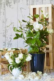 Jp parker flowers offers fresh flower delivery indianapolis. Rose For Remembrance