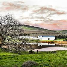 Durbanville Hills Reflections Just Before Sunset Cape Town Durbanville Durbanvillehills South Africa Travel Cape Town South Africa Top 10 Beaches